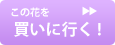 この花を買いに行く！