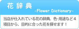 花辞典
