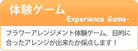 体験ゲーム